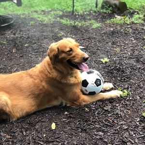 Meet your Posher, Barbara